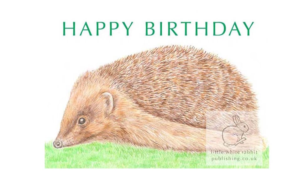 Hedgehog - Birthday Card