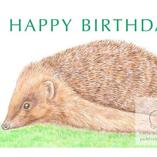 Hedgehog - Birthday Card