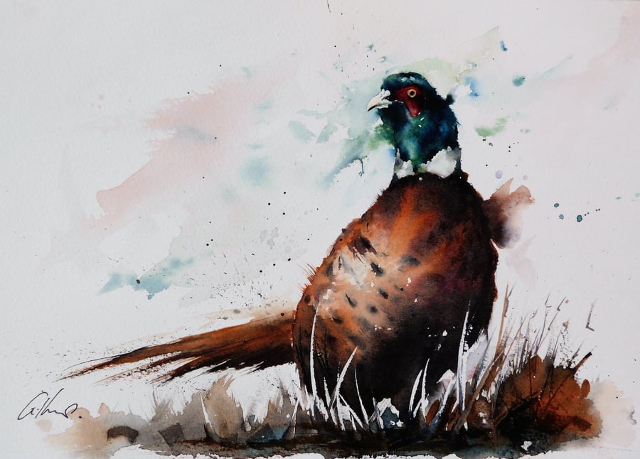 Pheasant, Original Watercolour Painting.