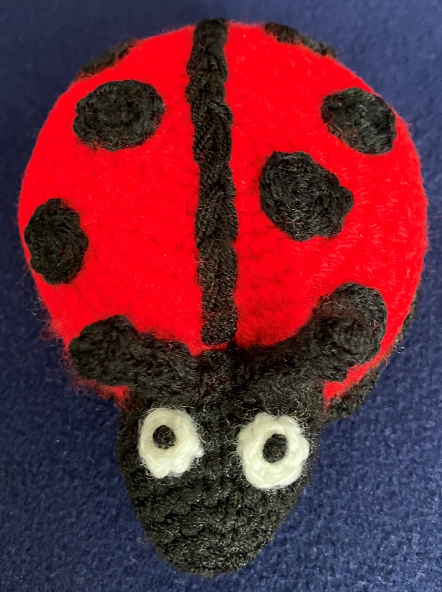 Ladybird novelty pin cushion - Special Gift