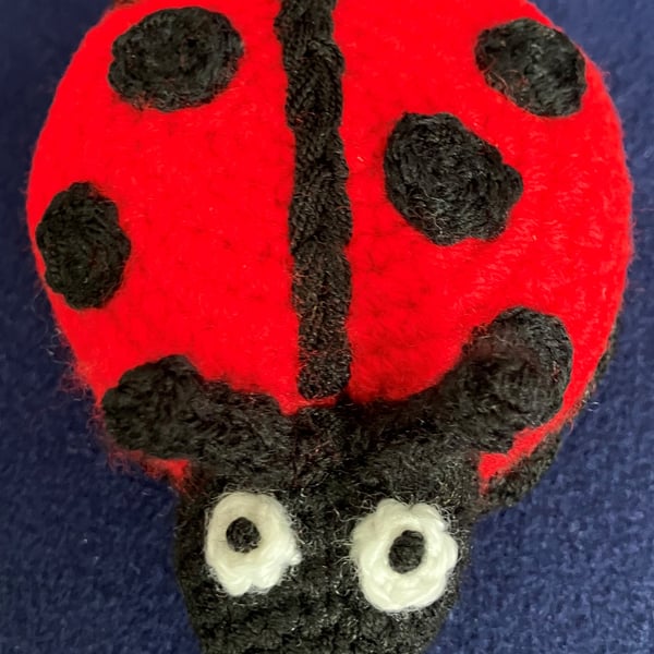 Ladybird novelty pin cushion - Special Gift