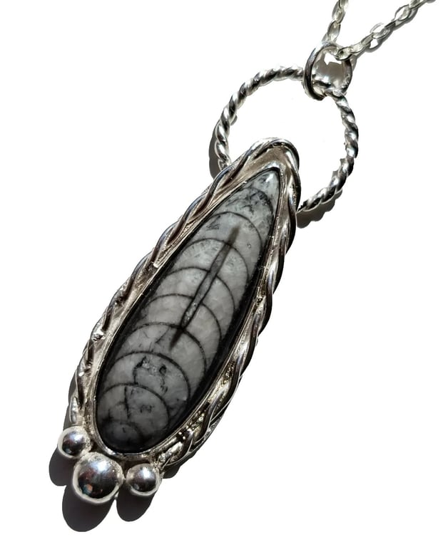 Orthoceras Fossil Necklace Jewellery Gift Recycled Silver Teardrop Pendant 