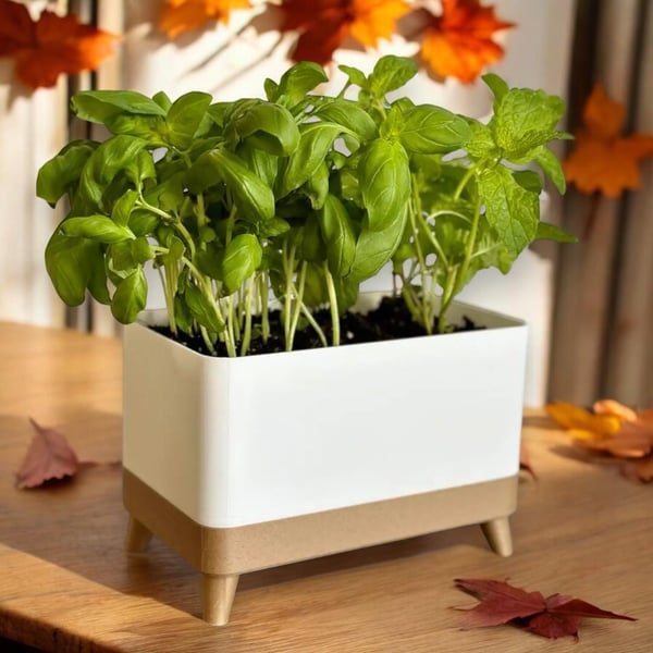 Herb Haven Planter Stylish Self-Draining Herb Planter with Footed Tray & Twin Op