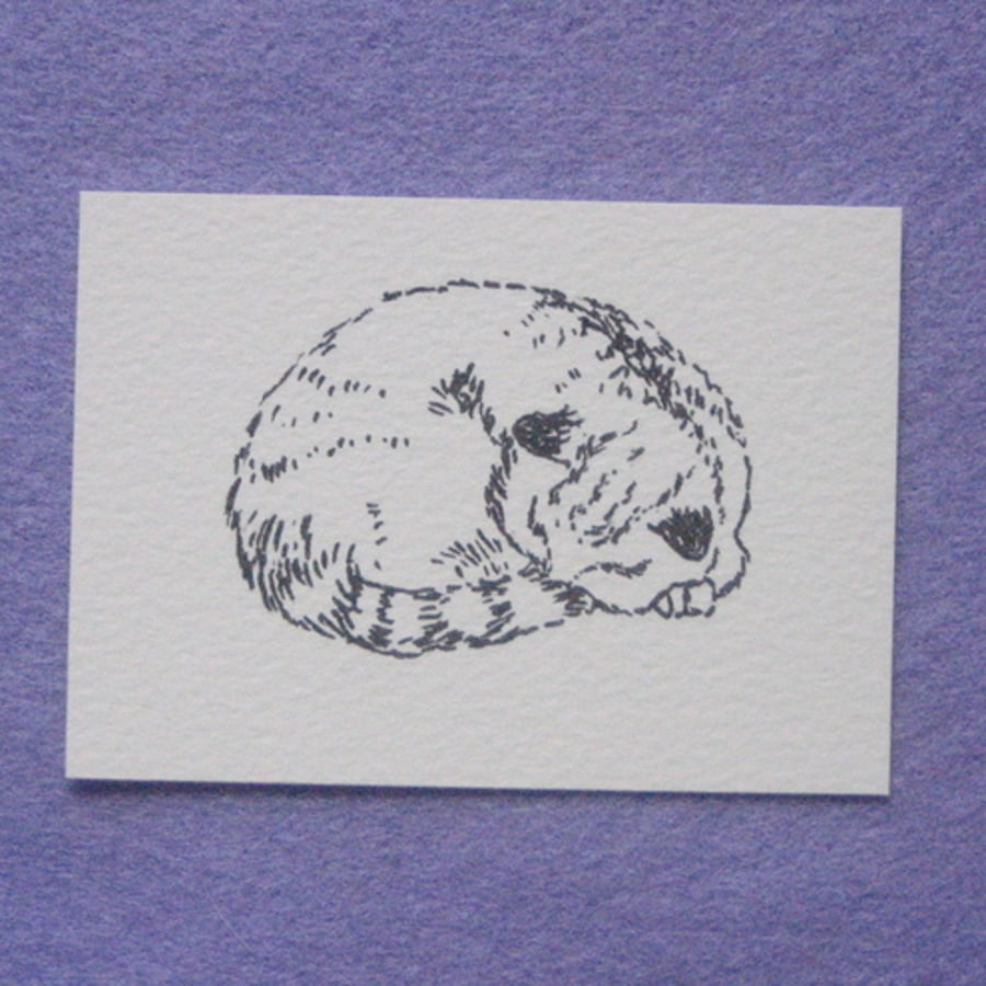 Sleeping Cat Drawing, ACEO, Ink on Paper