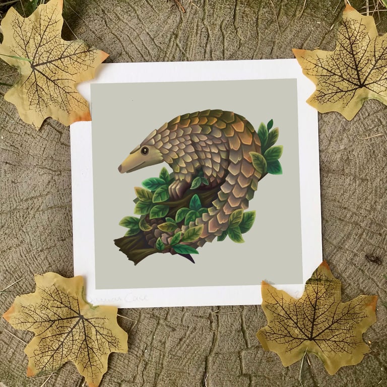 Pangolin Art Print