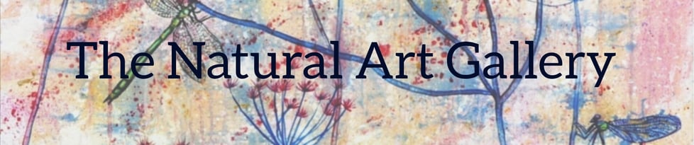 The Natural Art Gallery