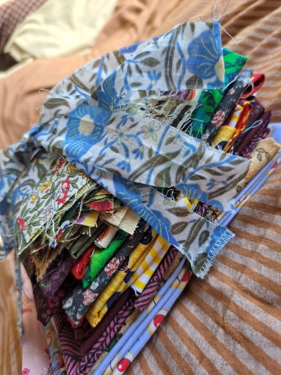 Cotton Cornucopia