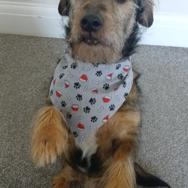 Christmas Paws Bandana