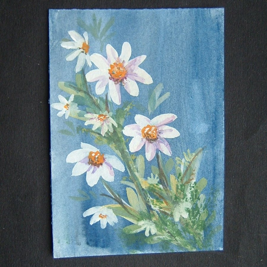Art painting aceo SFA original paintings flowers daisies 56