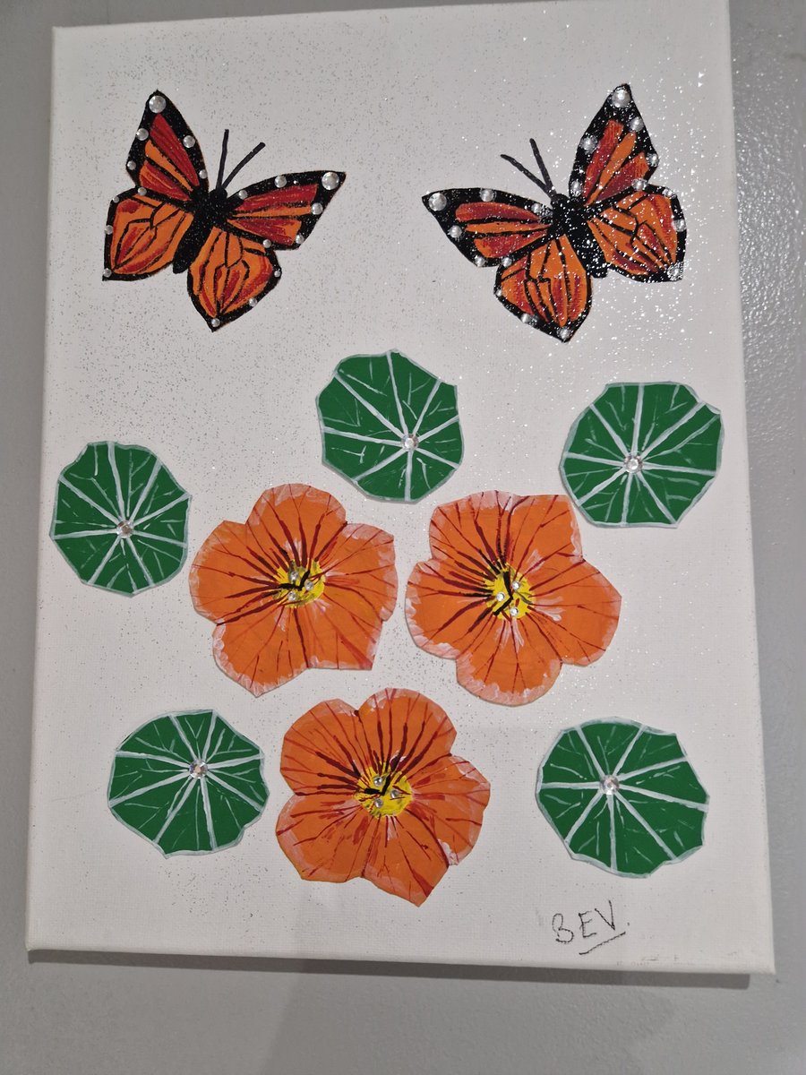 Nistercians and butterflies 