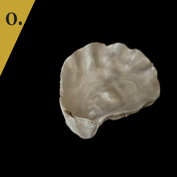 zero - your own custom message on a SHUCKED hand-painted oyster shell