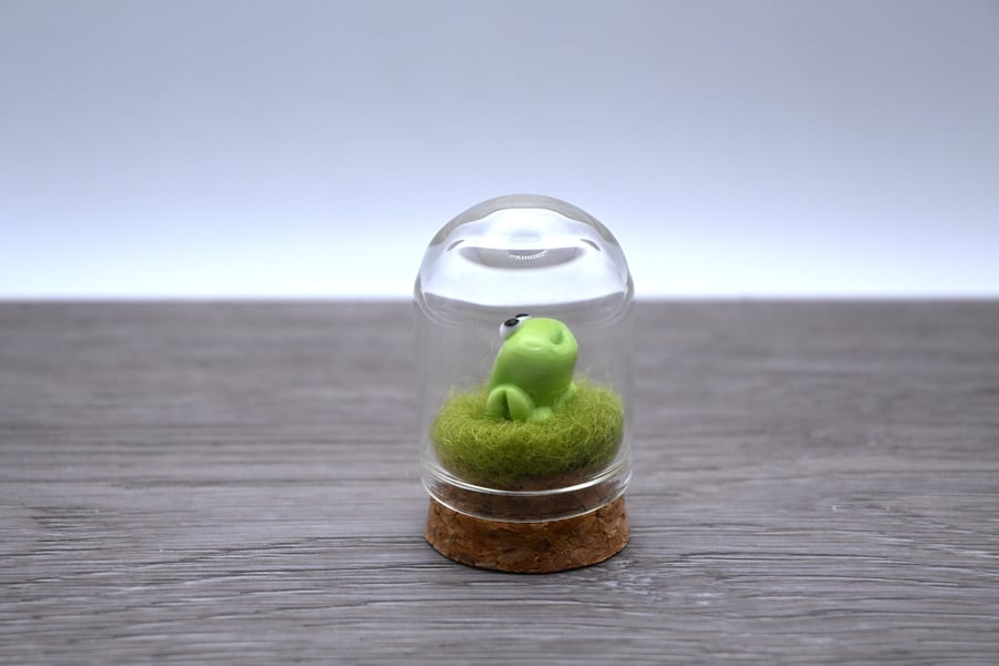 small glass frog cloche keepsake gift