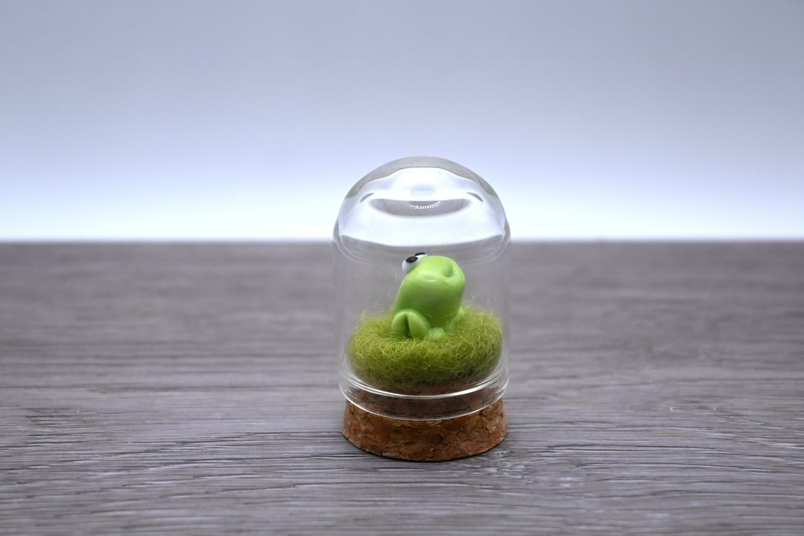 small glass frog cloche keepsake gift