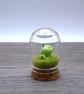 small glass frog cloche keepsake gift