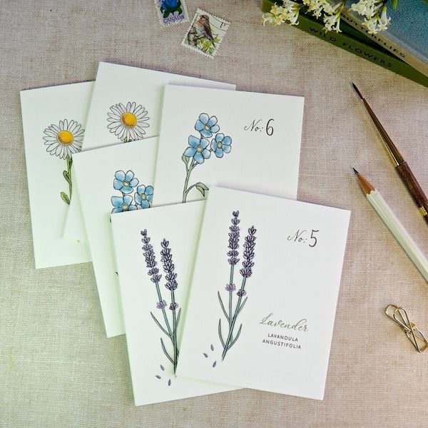 Set of 6 Botanical Wildflower Mini Notecards 
