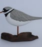 Ringed plover - Image 1