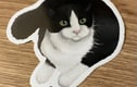 DuffleCat Gift Sets