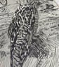 Long Eared Owl Geltsdale Nature Reserve Ltd Edition Lino Print - Image 4