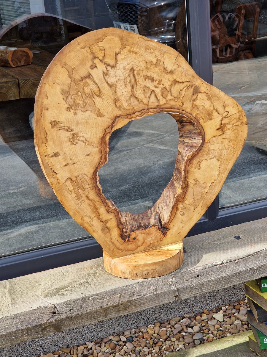 Handcrafted Hollow Elm Tree Slice Mounted on Solid Wood. Approx. 60cm diameter