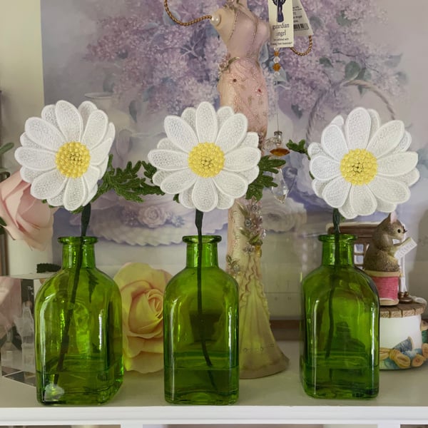 Lace Daisy in a Green Bottle PB10