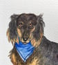 Hand painted dachshund card - Image 2