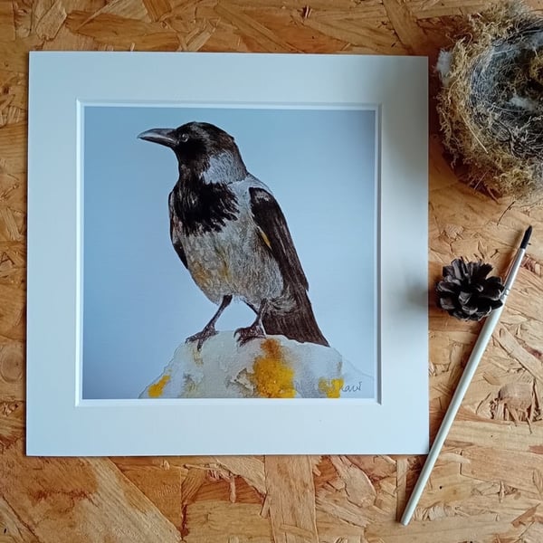 Hooded Crow Art Print - bird lover gift corvid gothic