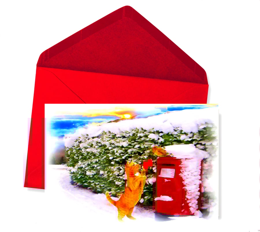SALE - Cat Posting Card, Christmas Card  