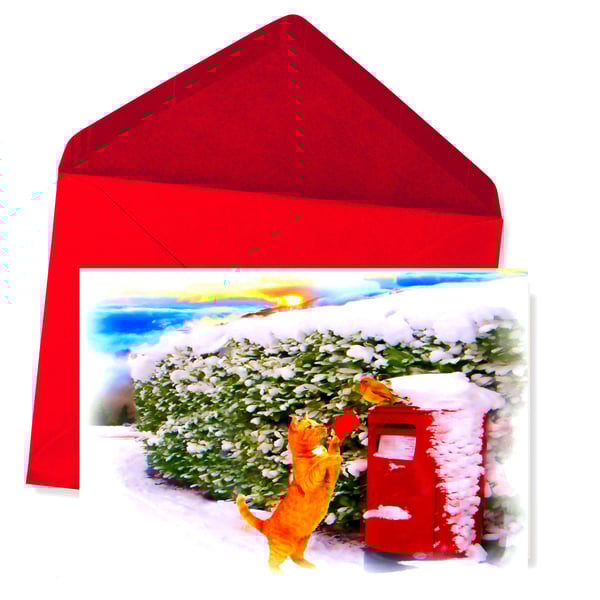 SALE - Cat Posting Card, Christmas Card  