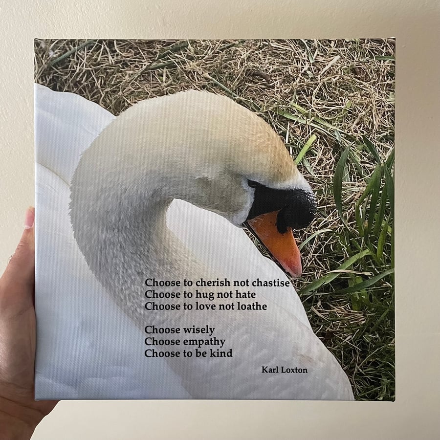 Swans Canvas print, 10 by 10 inches by 2cm deep. "Choose" by Karl Loxton