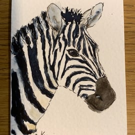 Watercolour of a Zebra ACEO - free UK postage 