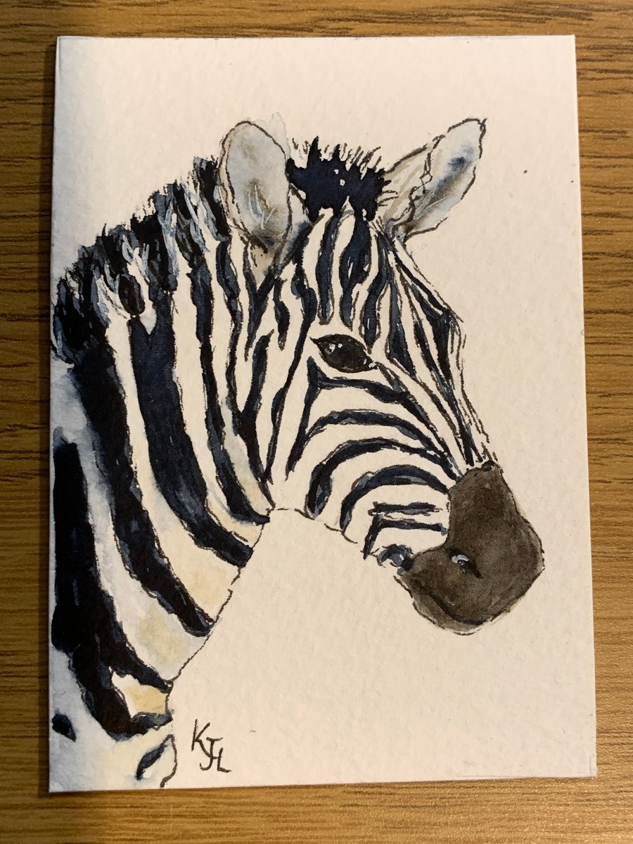 Watercolour of a Zebra ACEO - free UK postage 
