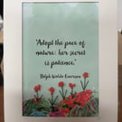 Adopt The Pace Of Nature