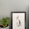 A4 Penguin Original Pen and Ink Drawing
