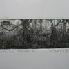 Moody drypoint etching 'Herne the Hunter I'