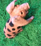 Needle Felted Pig Ritchard Ham - Image 7