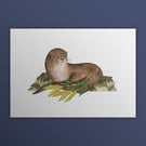 Eurasian Otter aka The Snotter, Scotland's Big 5, A4 art print