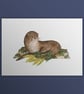 Eurasian Otter aka The Snotter, Scotland's Big 5, A4 art print