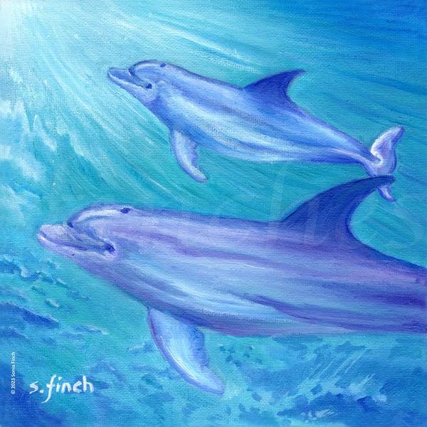Spirit of Dolphin (Bottlenose) - Limited Edition Giclée Print