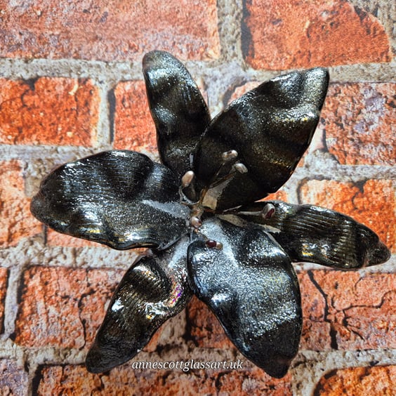 Handmade Fused Glass Rainbow on Black Iridescent and Silver Lily with Wall-mount