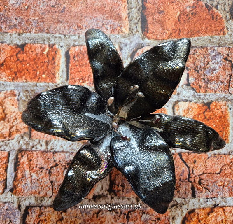 Handmade Fused Glass Rainbow on Black Iridescent and Silver Lily with Wall-mount