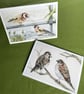 Secret life of garden birds: 5 greetings cards - Image 3