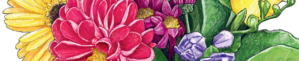 Dan Blanshard Illustration