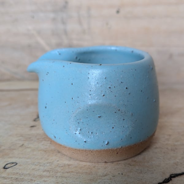 Diddy squat seafoam green jug (thumb)