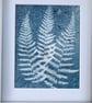 Fern Art, Botanical Art, Art for gardeners, Cyanotype Original Art. - Image 6