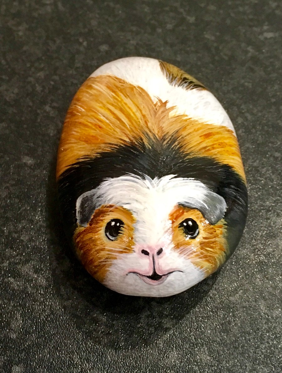 Painted pebble guinea pig rock pet 