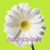 MoonDaisies