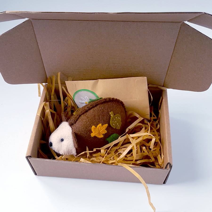Felt Hedgehog pincushion and pins gift set
