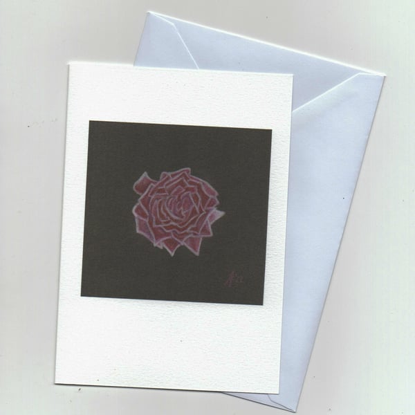 Rose on Black, a red rose botanical art card