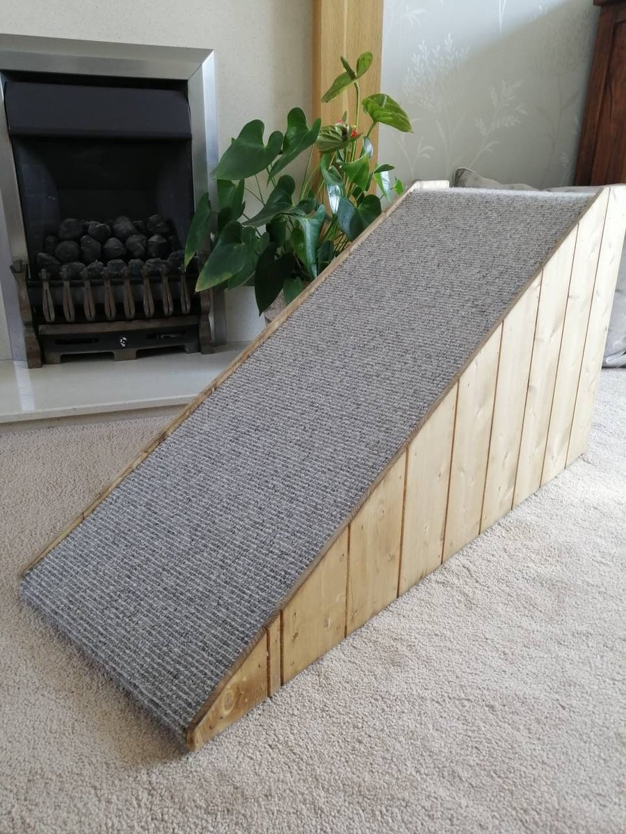 40cm H x 80cm L Wood Cladded Pet Ramp with Beige Twist Carpet