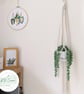 Macramé Plant Hanger, Indoor Hanging Planter, Gifts for Plant Lovers